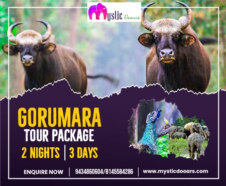 Gorumara Package Tour 2 Nights 3 Days
