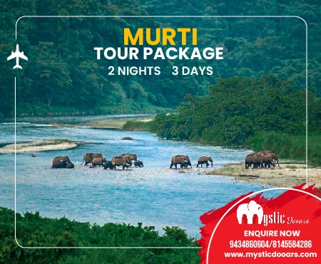 Murti Package Tour 2 Nights 3 Days