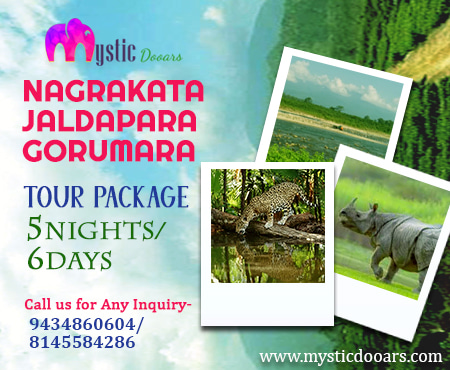 Nagrakata Jaldapara Gorumara Package Tour for 6 Days
