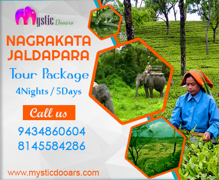 Nagrakata Jaldapara Package Tour for 5 Days