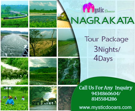 Nagrakata Package Tour for 4 Days