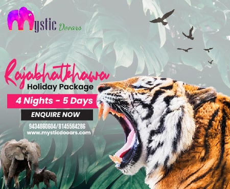 Rajabhatkhawa Holiday Package 4 Nights 5 Days