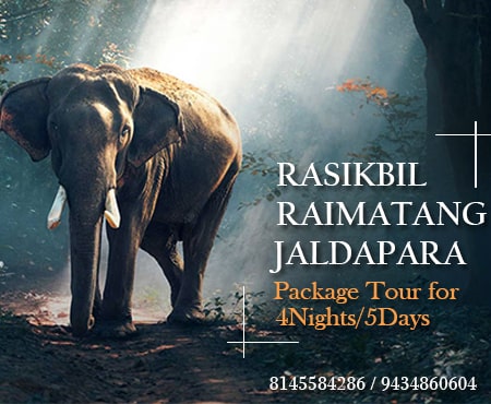Rasikbil, Raimatang, Jaldapara Package Tour for 5 Days